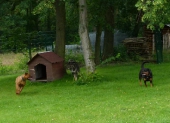 Pension_12