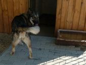 Pension_13