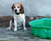 Pension_21