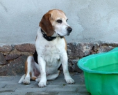 Pension_22