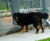 Pension_28