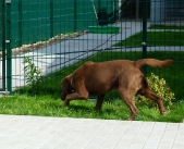 Pension_29
