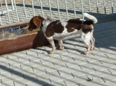 Pension_29