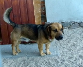 Pension_2