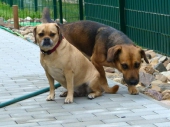 Pension_33