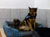 Pension_1