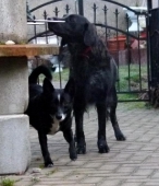 Pension_21