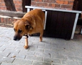 Pension_22