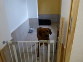 Pension_23