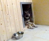 Pension_5