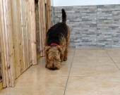 Pension_12