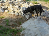 Pension_13