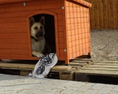Pension_19