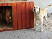 Pension_20