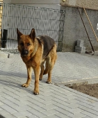 Pension_21
