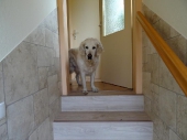 Pension_24