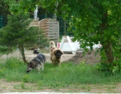 Pension_24