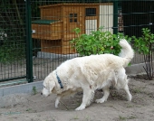 Pension_25