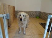 Pension_26