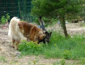 Pension_26