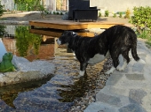 Pension_28