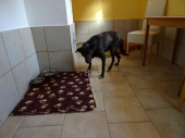 Pension_31