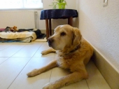 Pension_3