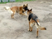 Pension_6