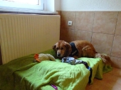 Pension_1