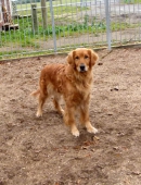 Pension_27