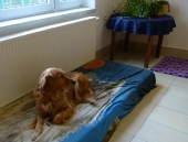Pension_28