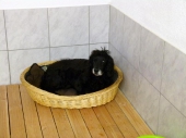 Pension_2