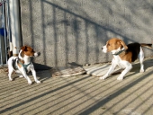 Pension_31
