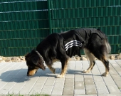 Pension_28