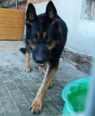 Pension_37