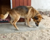 Pension_6