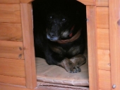 Pension_2
