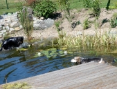 Pension_21