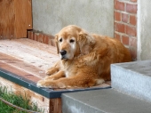 Pension_22