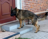 Pension_22