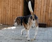 Pension_23