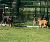 Pension_29