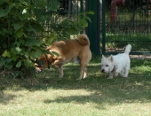 Pension_2