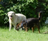 Pension_2