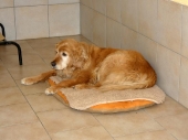Pension_39