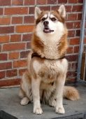 Pension_3