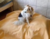Pension_4