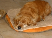 Pension_55
