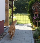 Pension_5