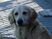 Pension_83
